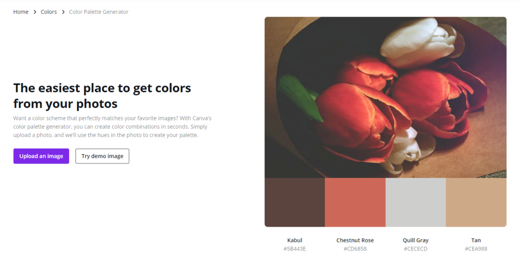 Canva Color Palette Generator